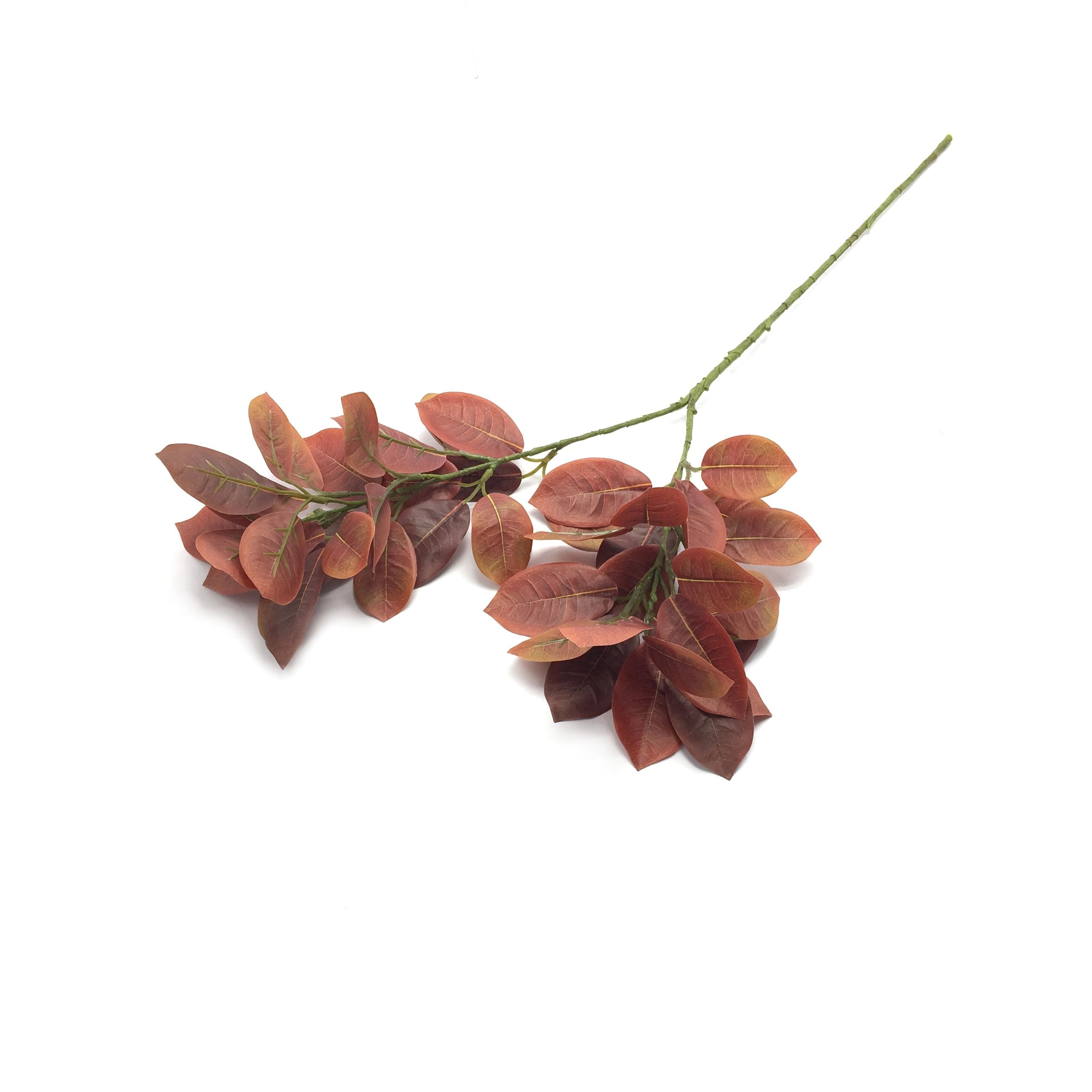 Galho Ficus Marrom X4 68cm W300 163mr Winmax