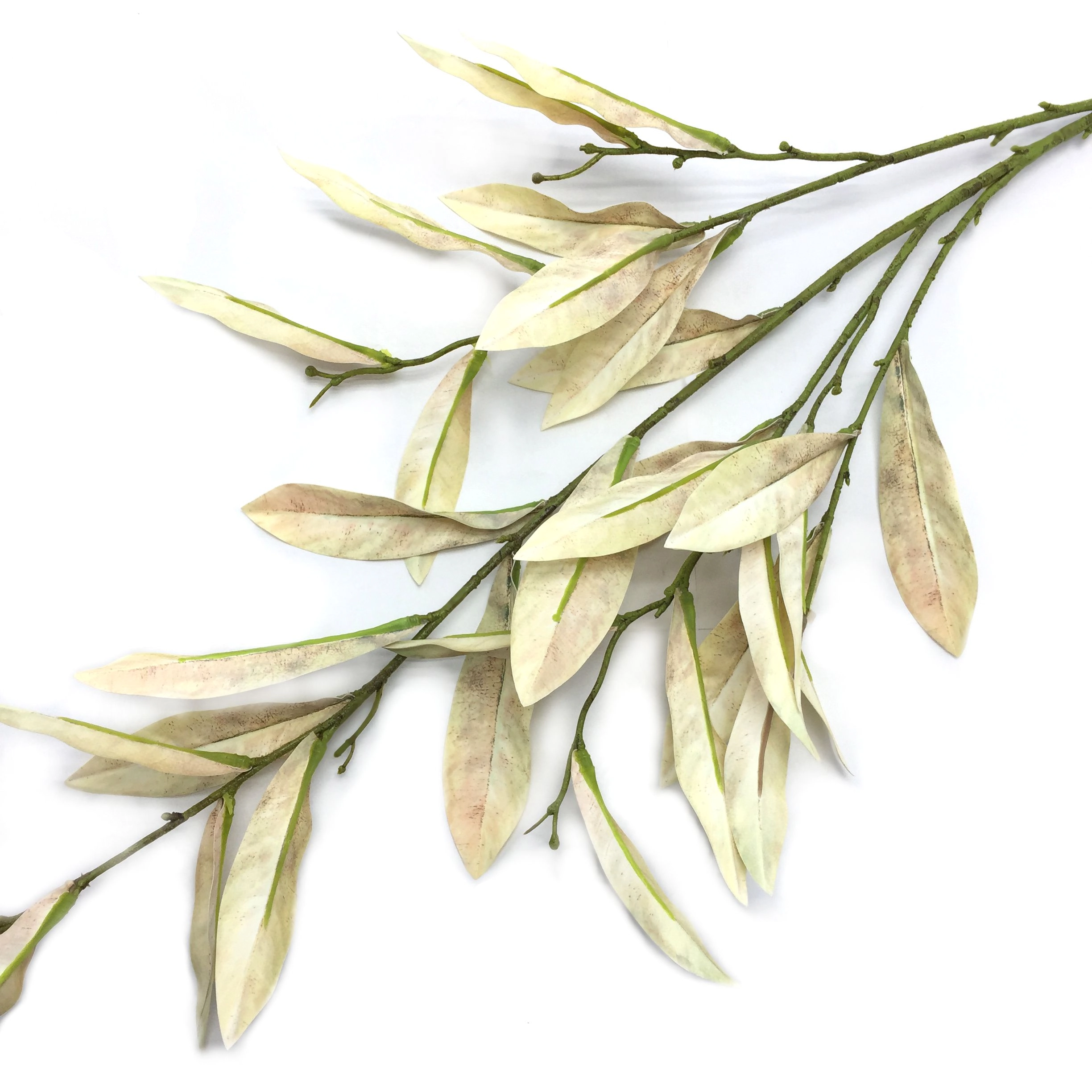 Galho Seratifolia Creme X4 100cm W300 165cr Winmax