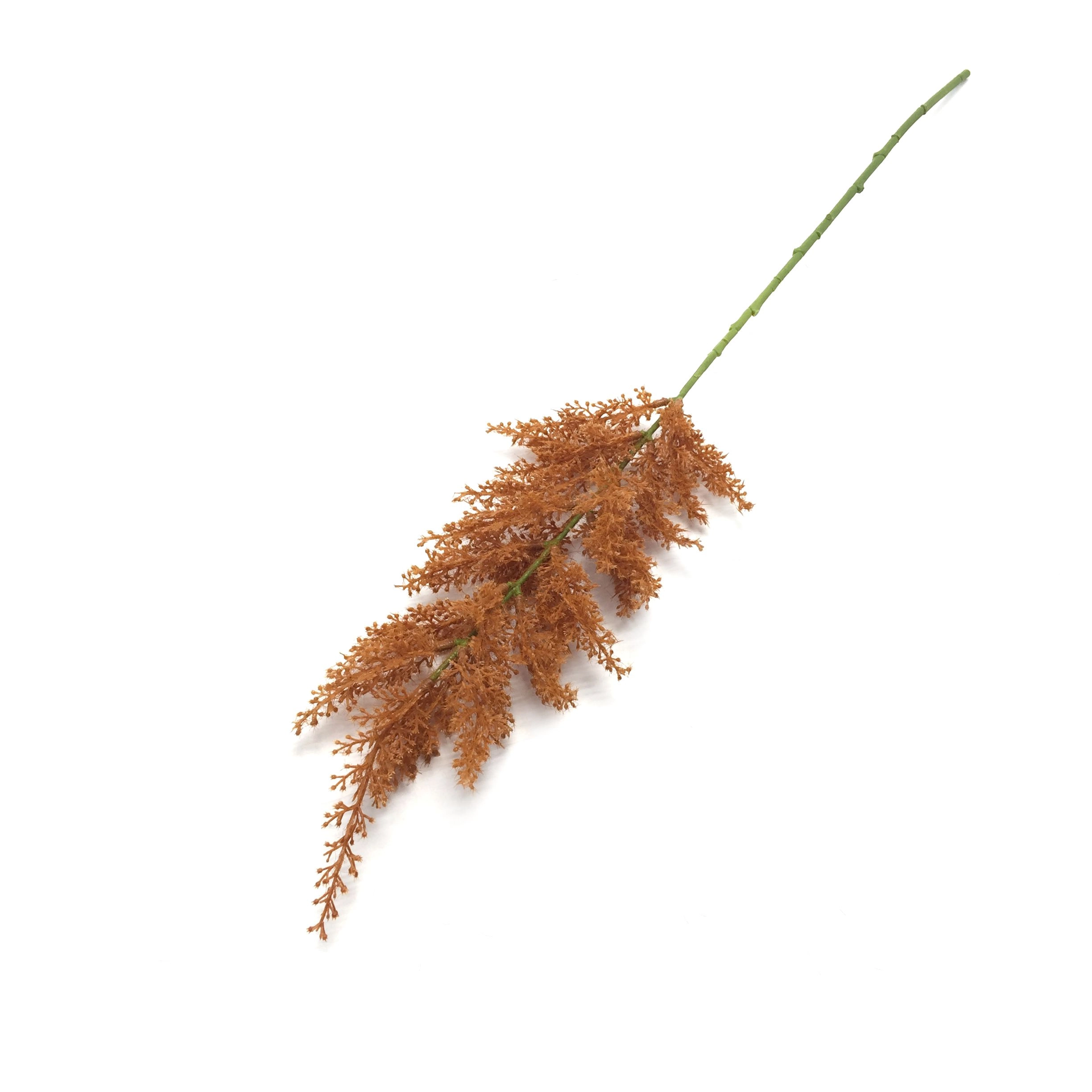 Galho Capim Pampas Laranja 77cm W300 168mr Winmax