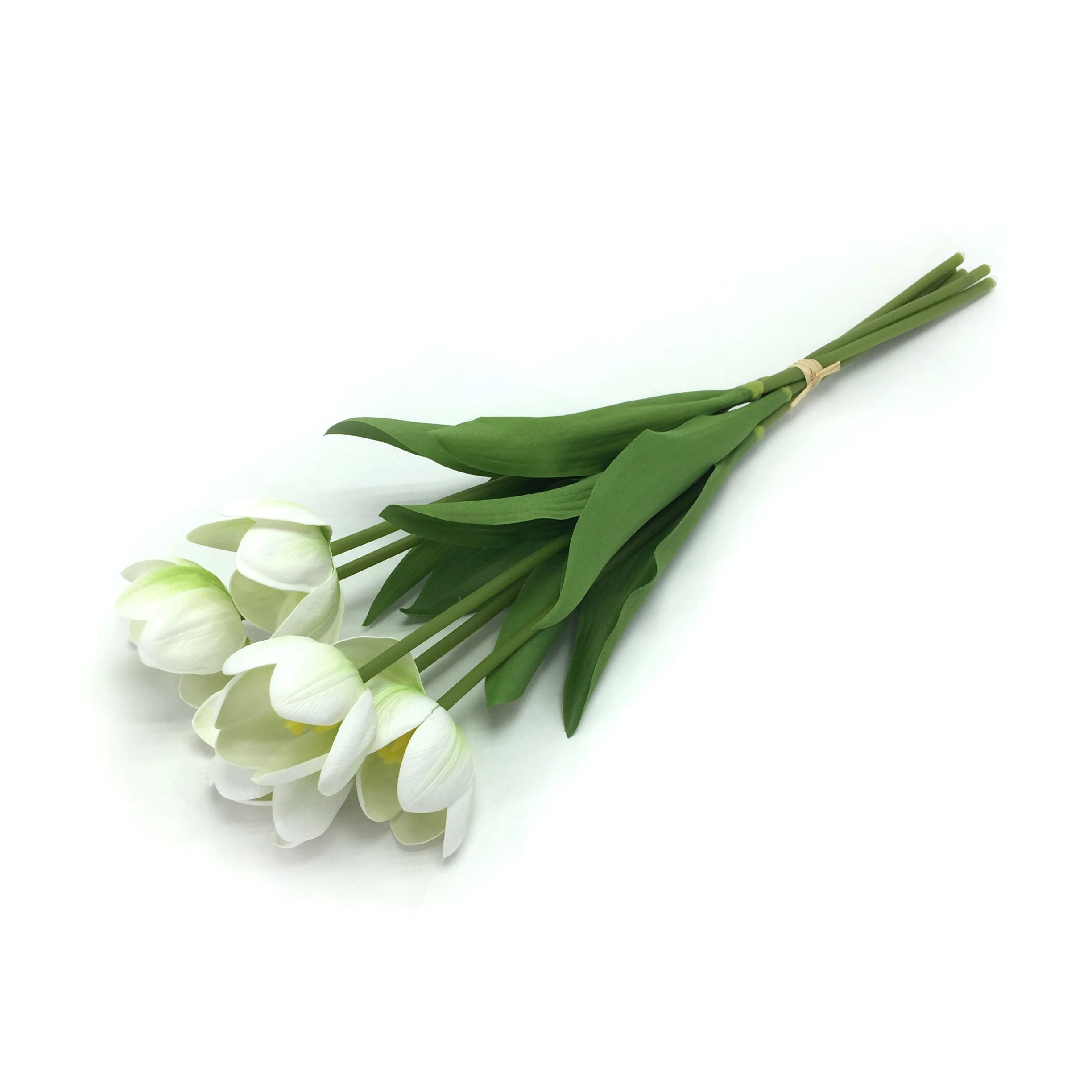 Ramalhete Tulipa X6 47cm W298 189w Winmax