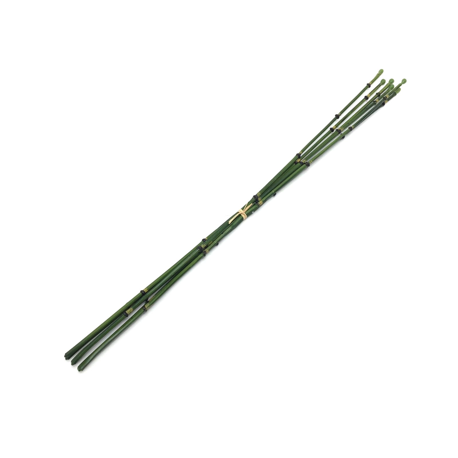 Ramalhete Cavalinha X6 56cm W524 04vd Winmax