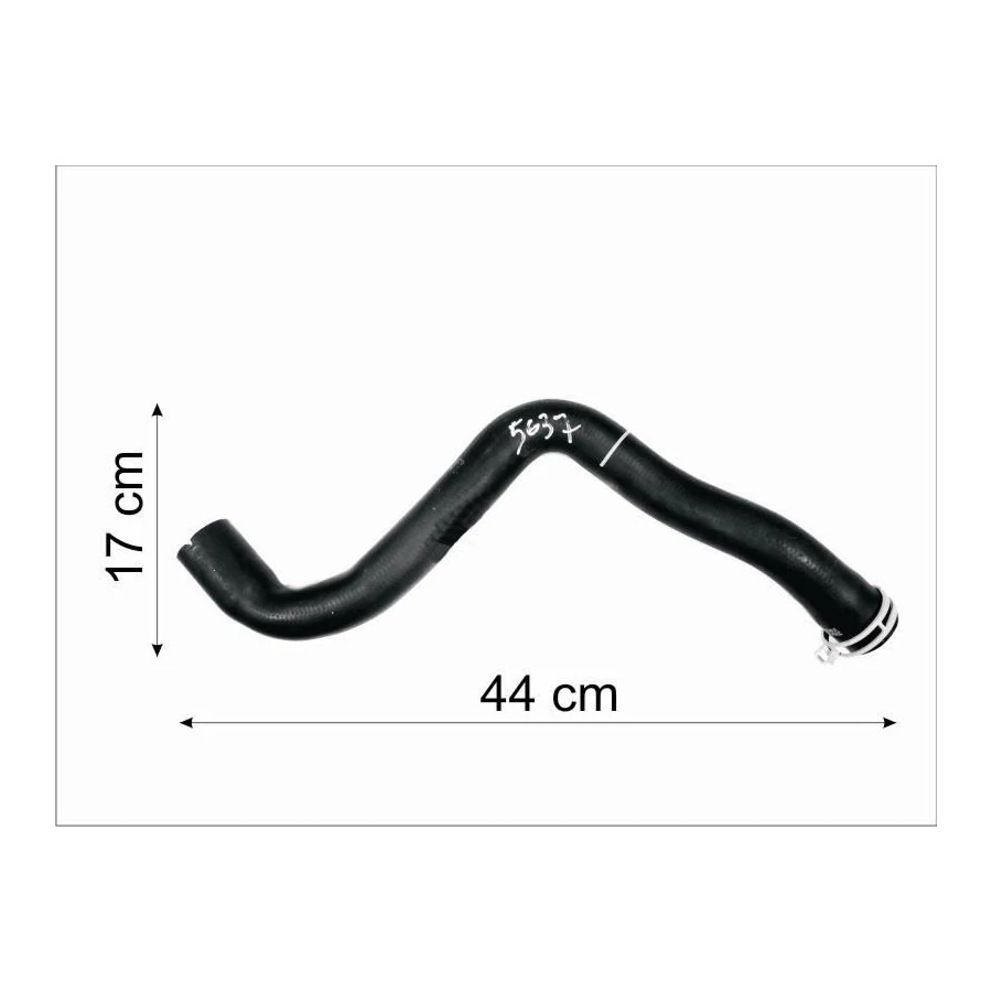 Mangueira Superior do Radiador FORD FOCUS - CAUPLAS 5637