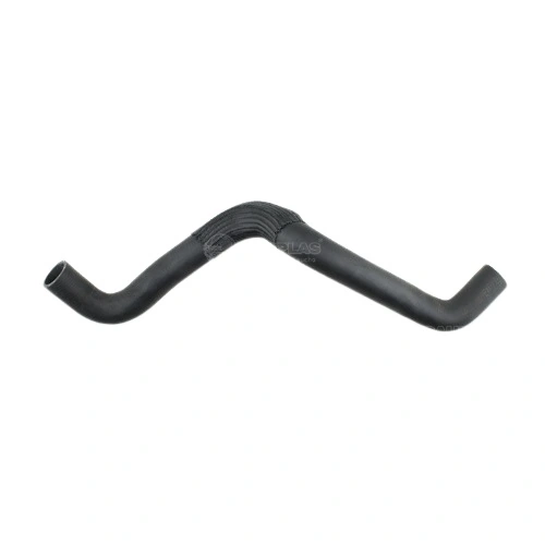 Mangueira Superior do Radiador FORD FOCUS - CAUPLAS 11007