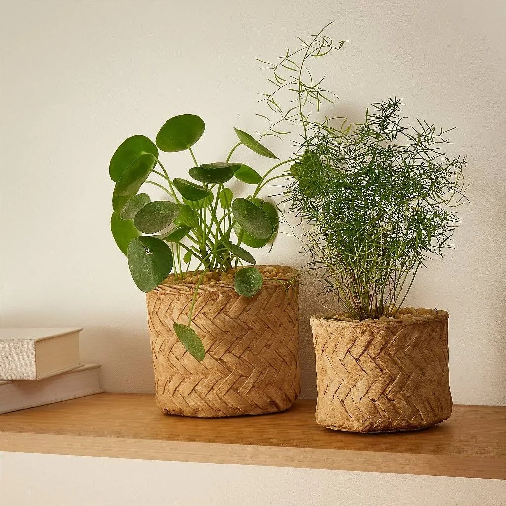Cachepot Em Cimento 14509 Mart