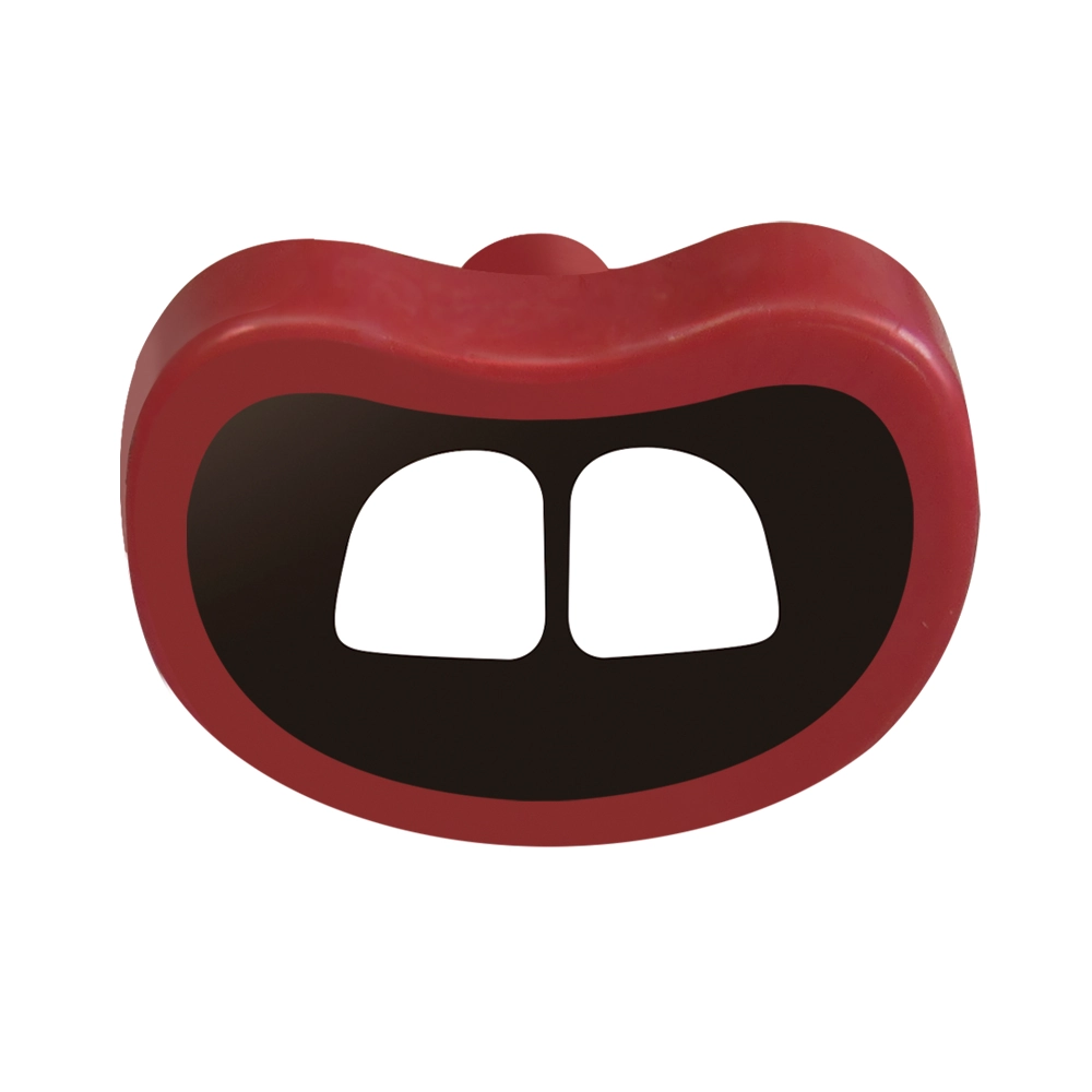 Brinquedo Dentinho Macico Borracha 1227 Furacao Pet