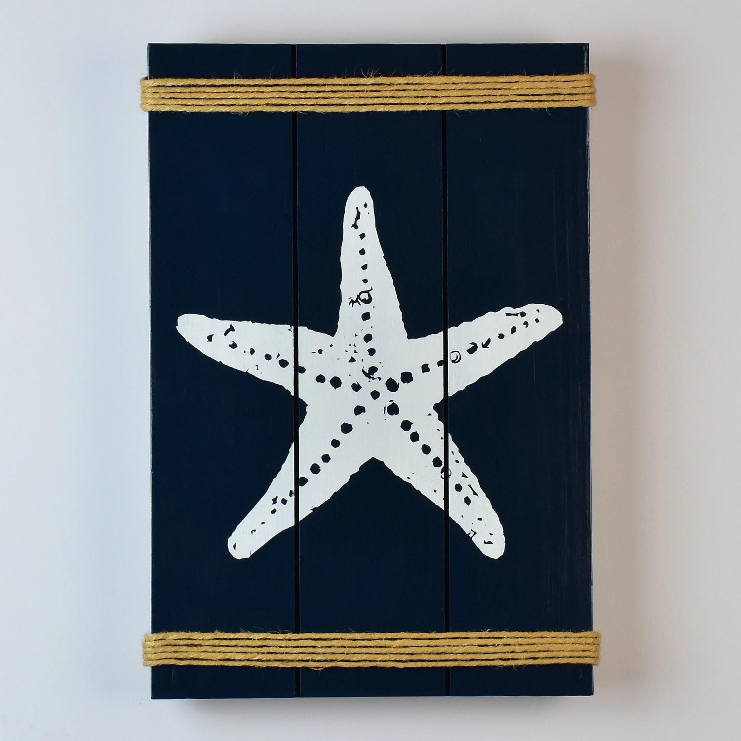 Quadro Azul Marinho Estrela 35 Cm Xc 20 L The Home