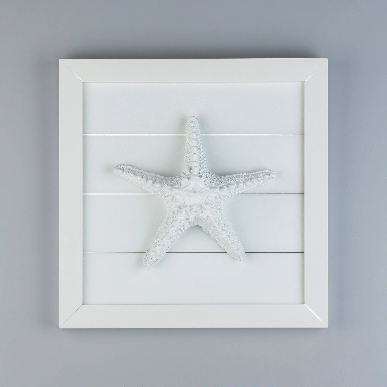 Quadro Estrela Branca 25cm Xc 98 D The Home
