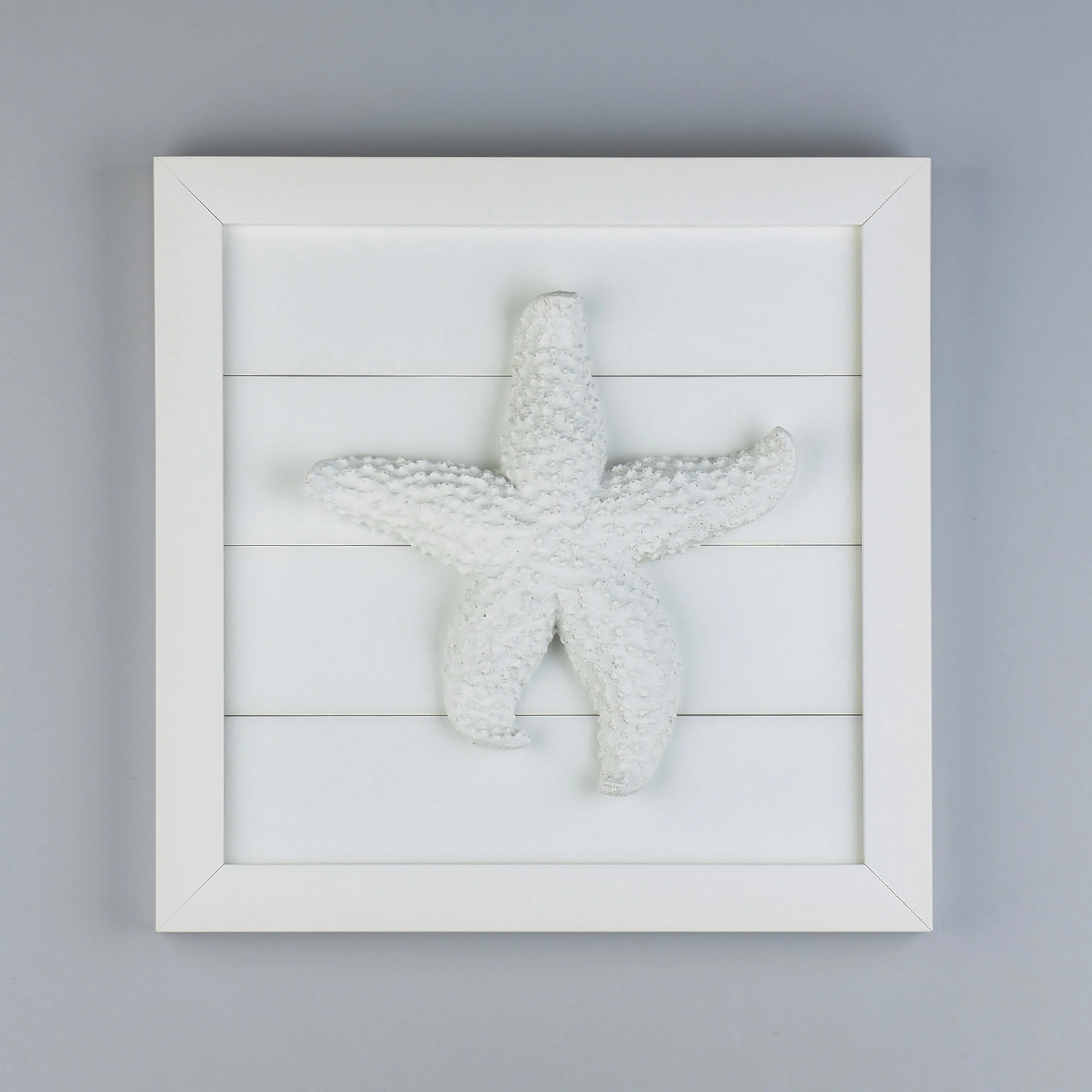 Quadro Estrela Branca 25cm Xc 98 E The Home