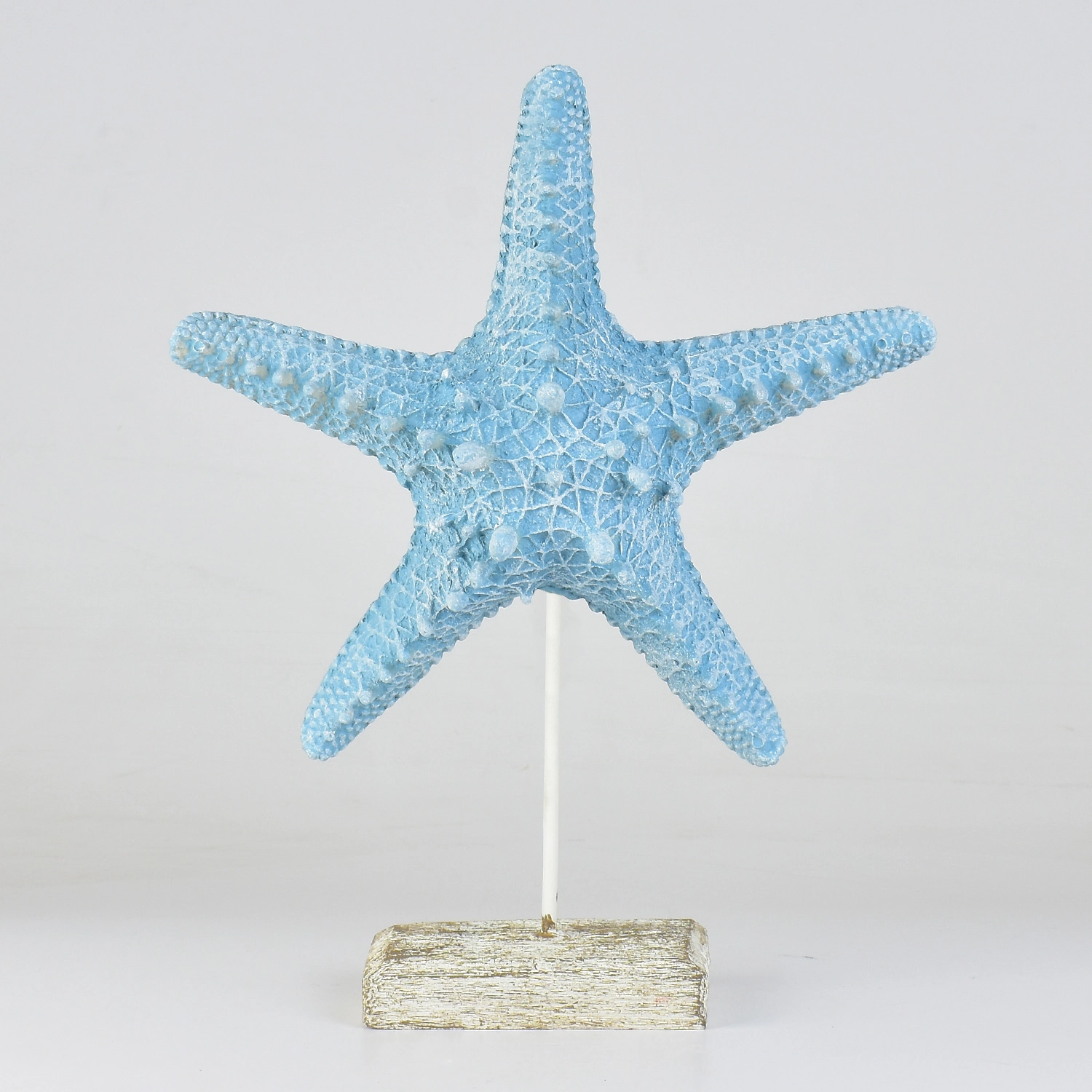 Enfeite Pedestal Estrela Mar Azul Grande Xh 25 The Home