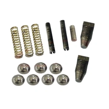 Reparo da Haste Seletora FORD F600 - PATRAL 9781
