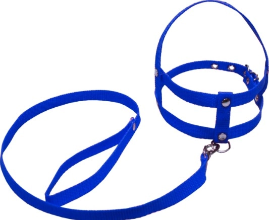 Guia Peitoral Nylon N03 2203 Maria Pet