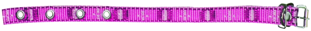 Coleira Nylon N02 2134 Maria Pet