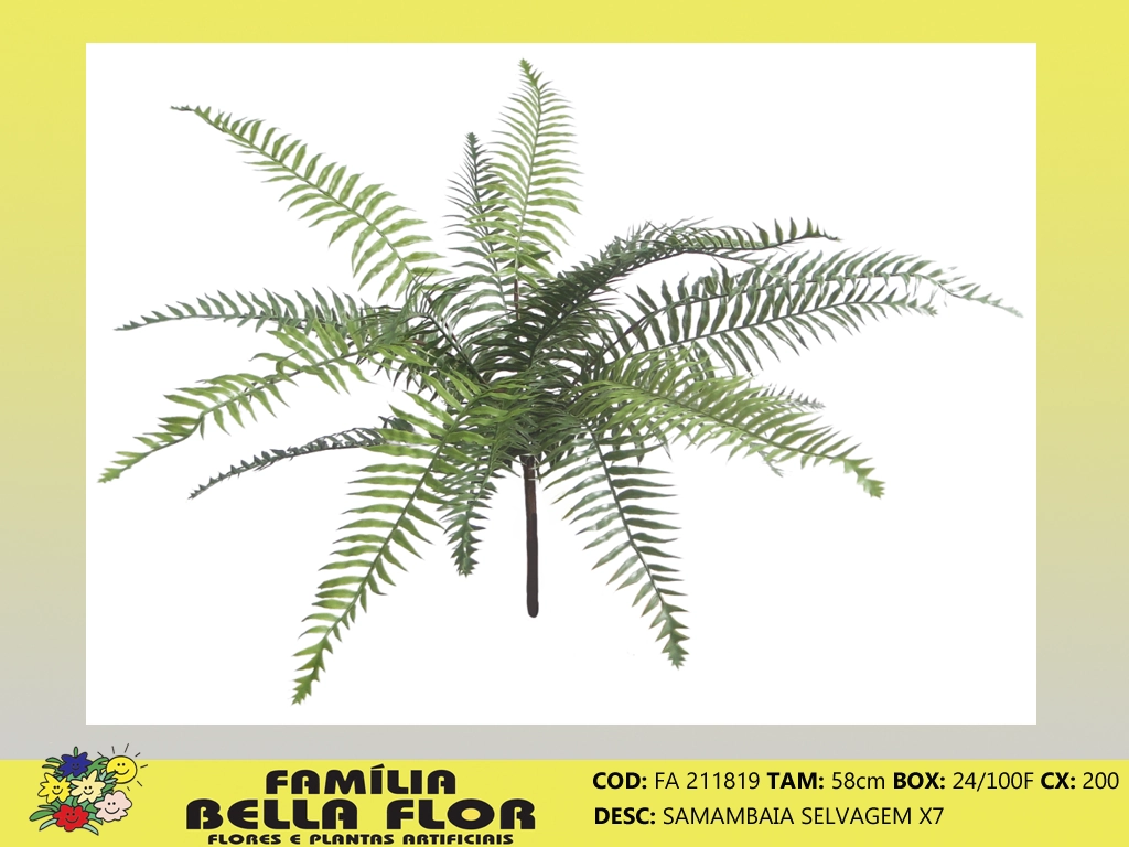 Samambaia Selvagem X7 Fa 211819 Bella Flor