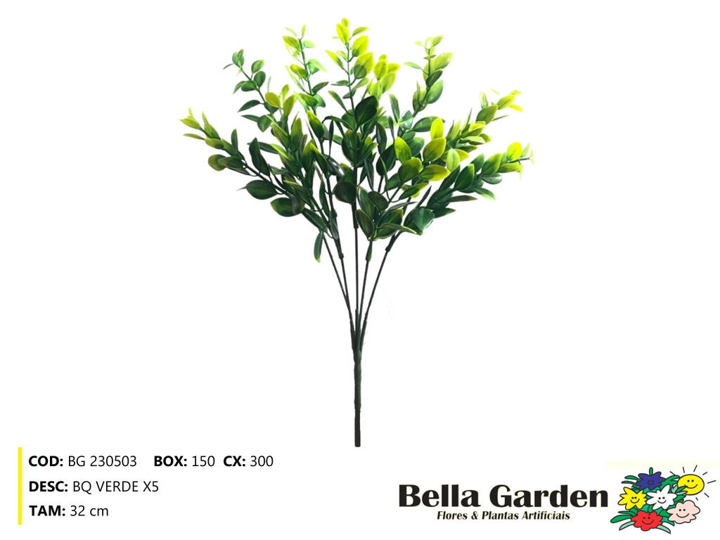 Buque Verde X5 Bg 230503 Bella Flor