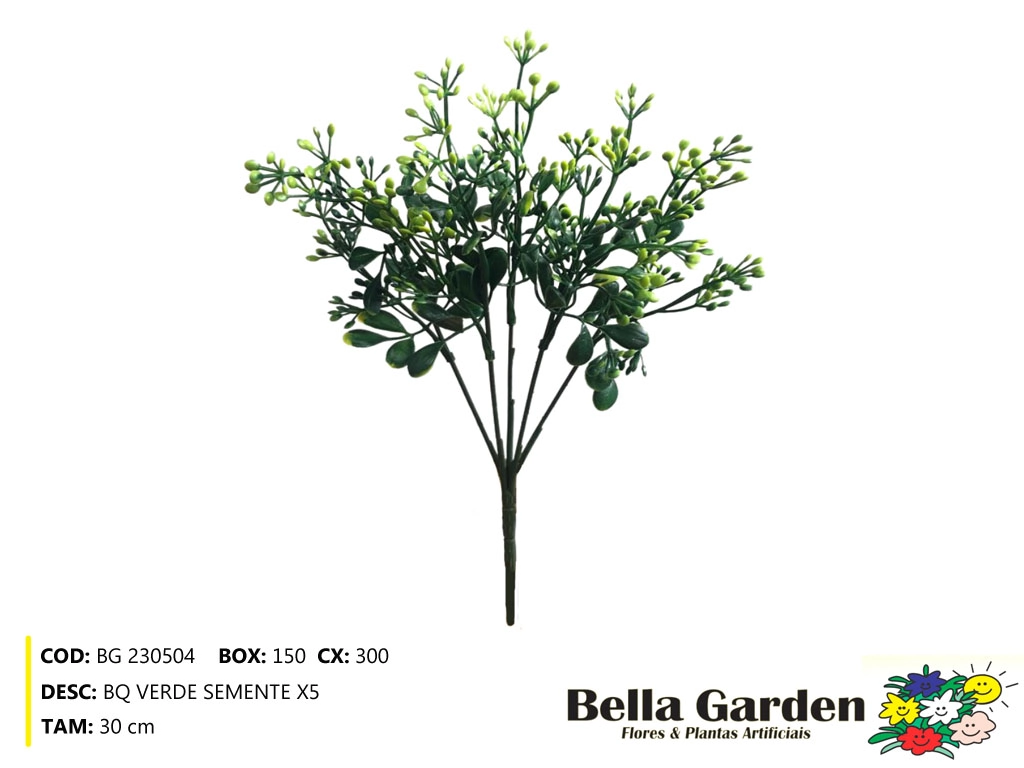 Buque Semente X5 Bg 230504 Bella Flor