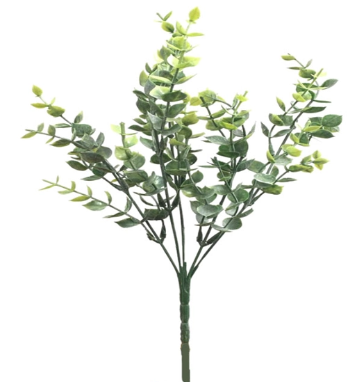 Buque Eucalipto Fosco X5 Bg234085 Bella Flor