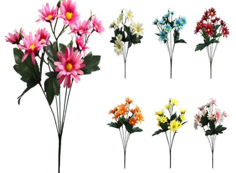 Margarida X5
