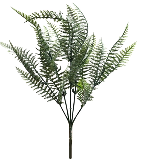 Buque Samambaia X5 34cm Bg230558 Bella Flor