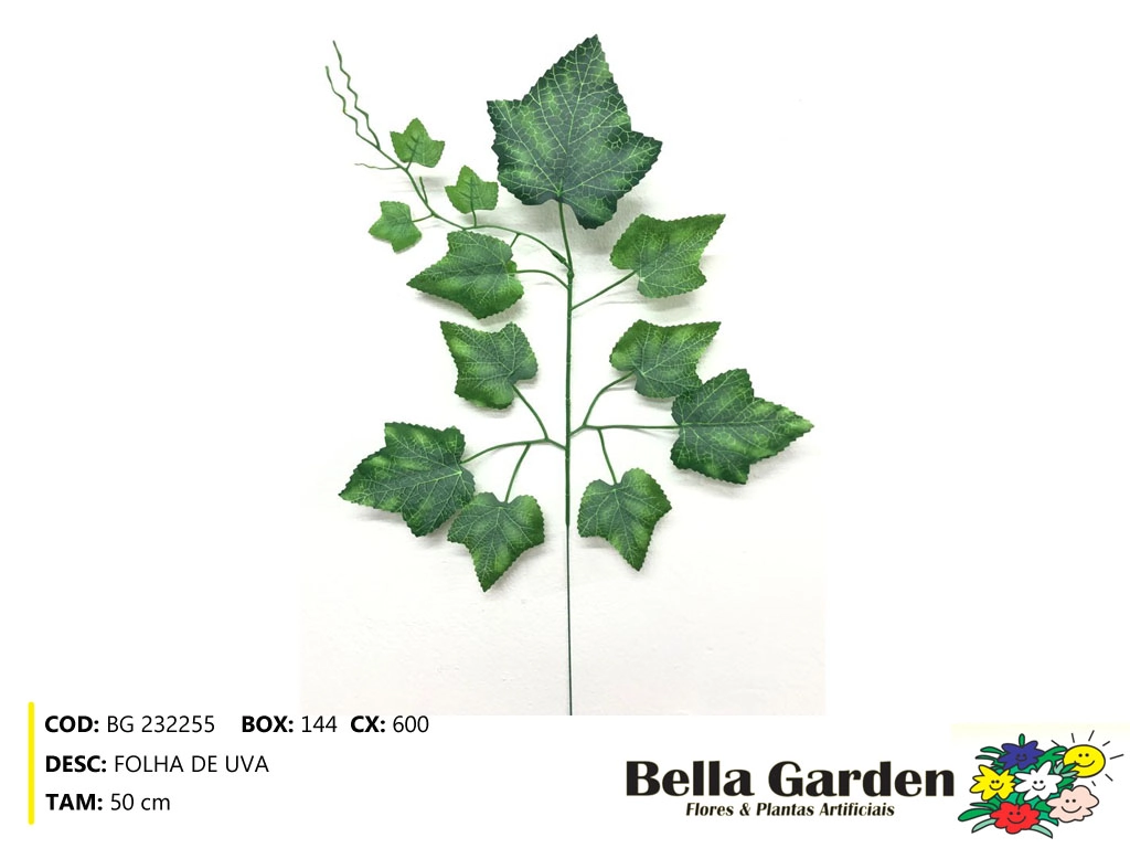 Folha Uva Bg232255 Bella Flor