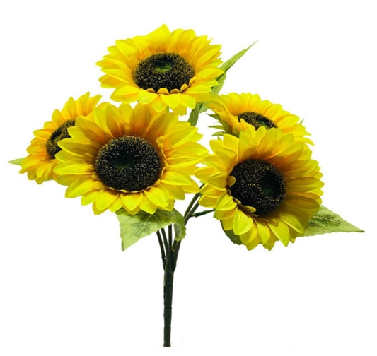 Buque Girassol X5 50cm Bg