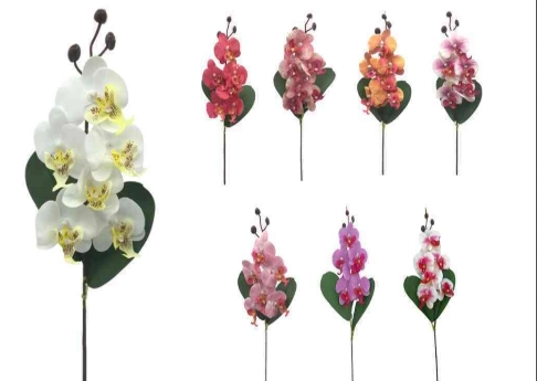 Bg 397004 Haste De Orquidea X6 ...36f/360