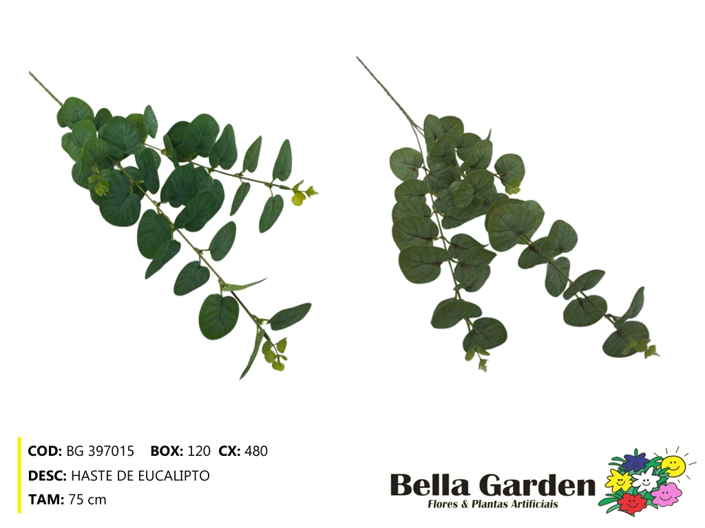 Haste Eucalipto Vivo Bg 397015 Bella Flor