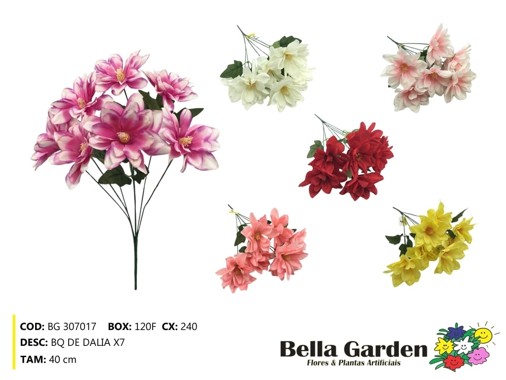 Buque Dalia X7 Bg 307017 Bella Flor