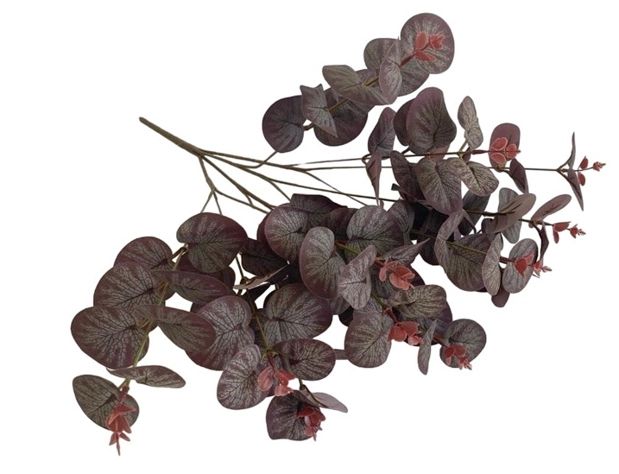 Buque Eucalipto Brown X12 52cm Bg312005 6 Bella Flor