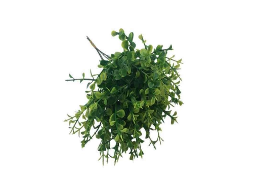 Bg 310010 Pick Verde C/6...120/240