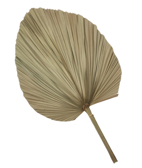 Folha Leque 65cm Bg310021 Bella Flor