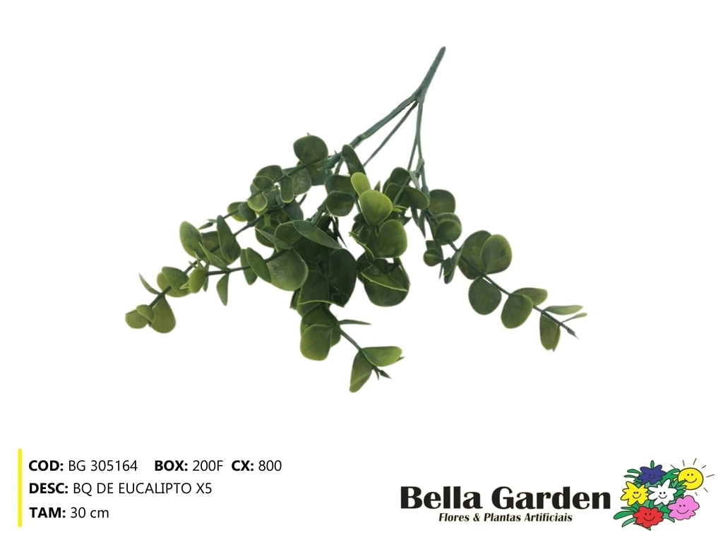 Buque Eucalipto X5 Bg 305164 Bella Flor