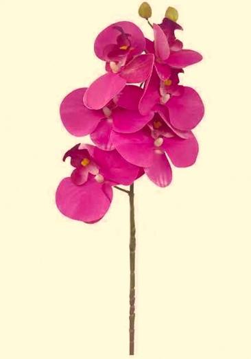 Haste De Orquidea 3d X6 Rosa P