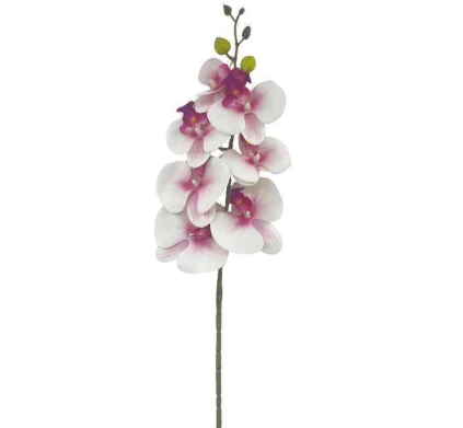 Bg 301464 7 Haste De Orquidea 3d X7 Lilas M...24f/144