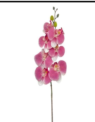 Bg 301464 9 Haste De Orquidea 3d X7 Rosa M...24f/144