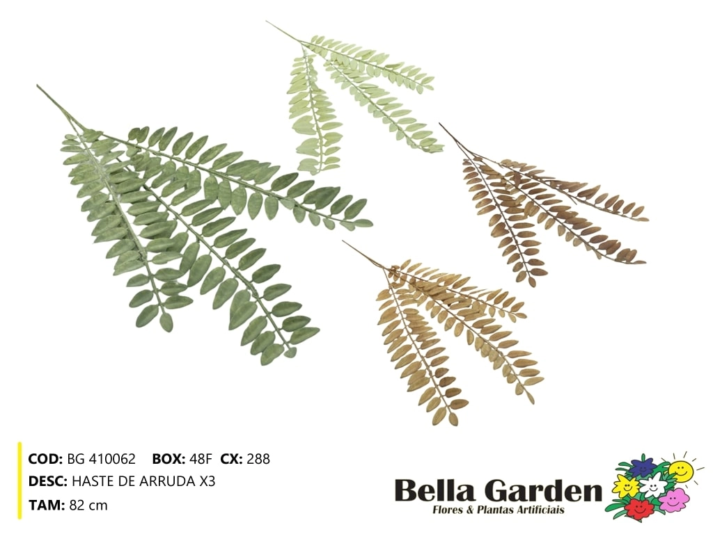 Haste Arruda Bg 410062 Bella Flor