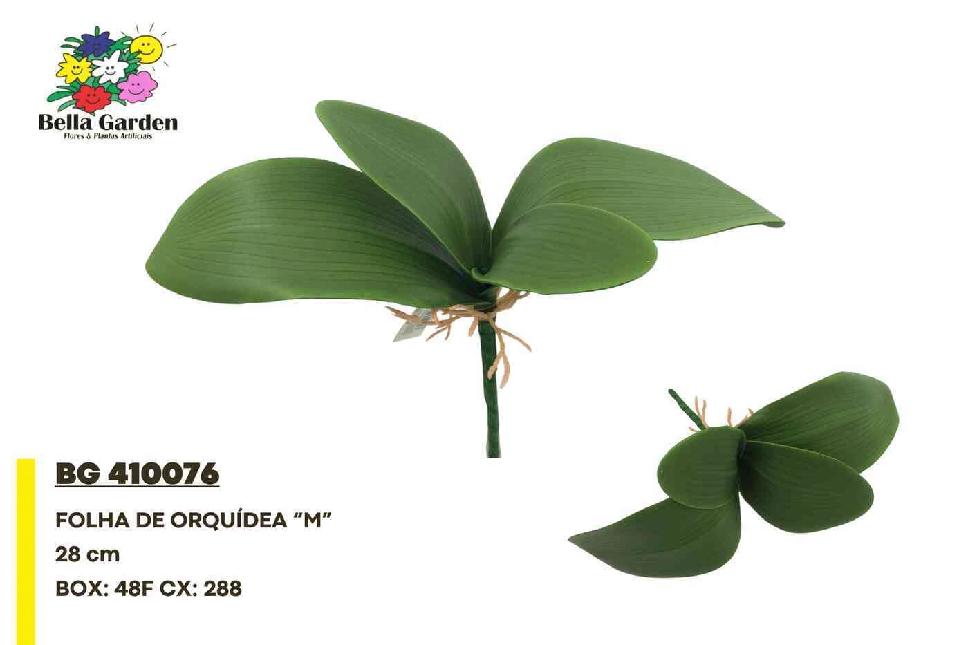 Folha De Orquidea