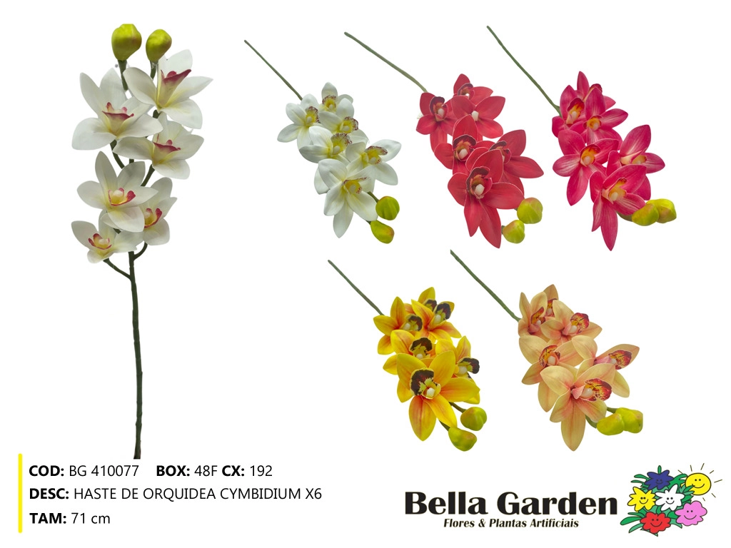 Haste De Orquidea Cymbidium X6