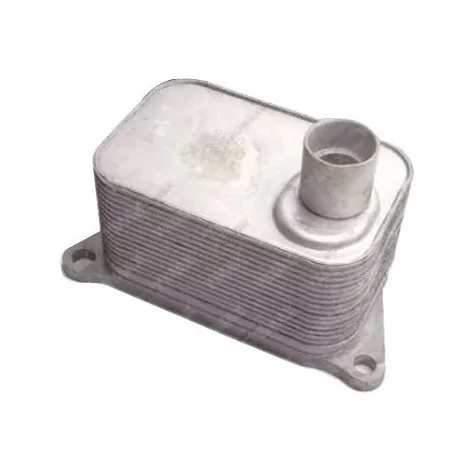 Radiador de Óleo - BILBAO BBM06J117021D