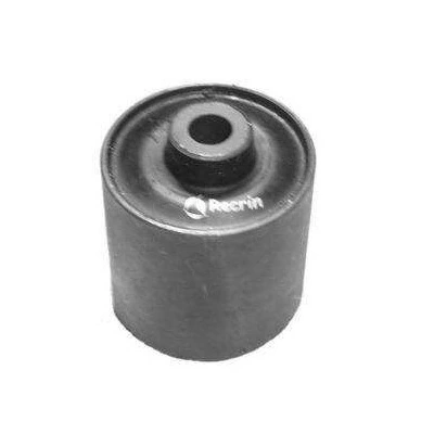Bucha do Braço Inferior Dianteiro FORD FUSION - RECRIN/CGR 46415