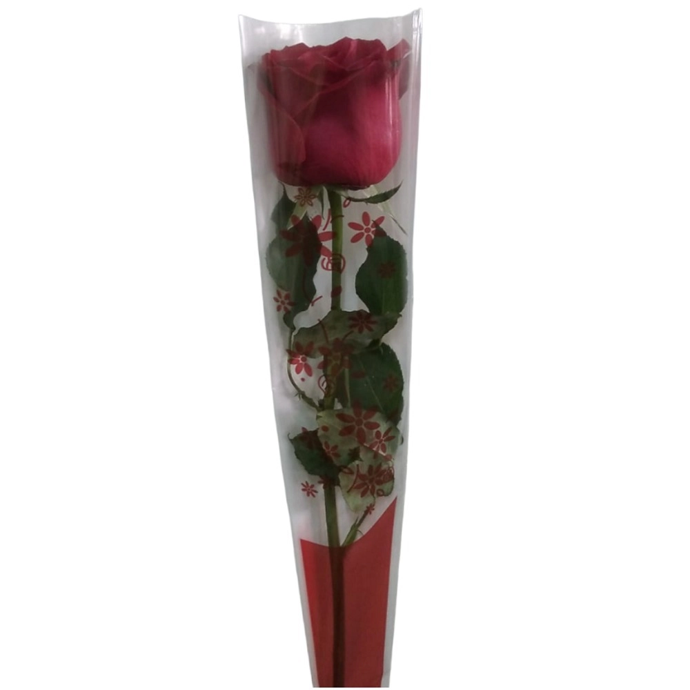 Rosa Solitaria Qualiflores
