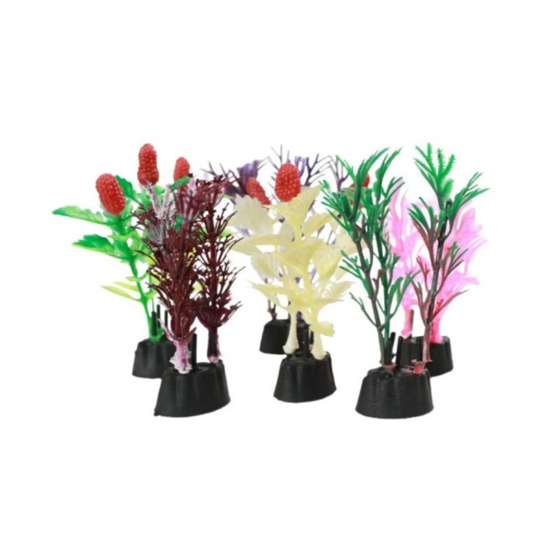 Planta Mini Tudo Pet