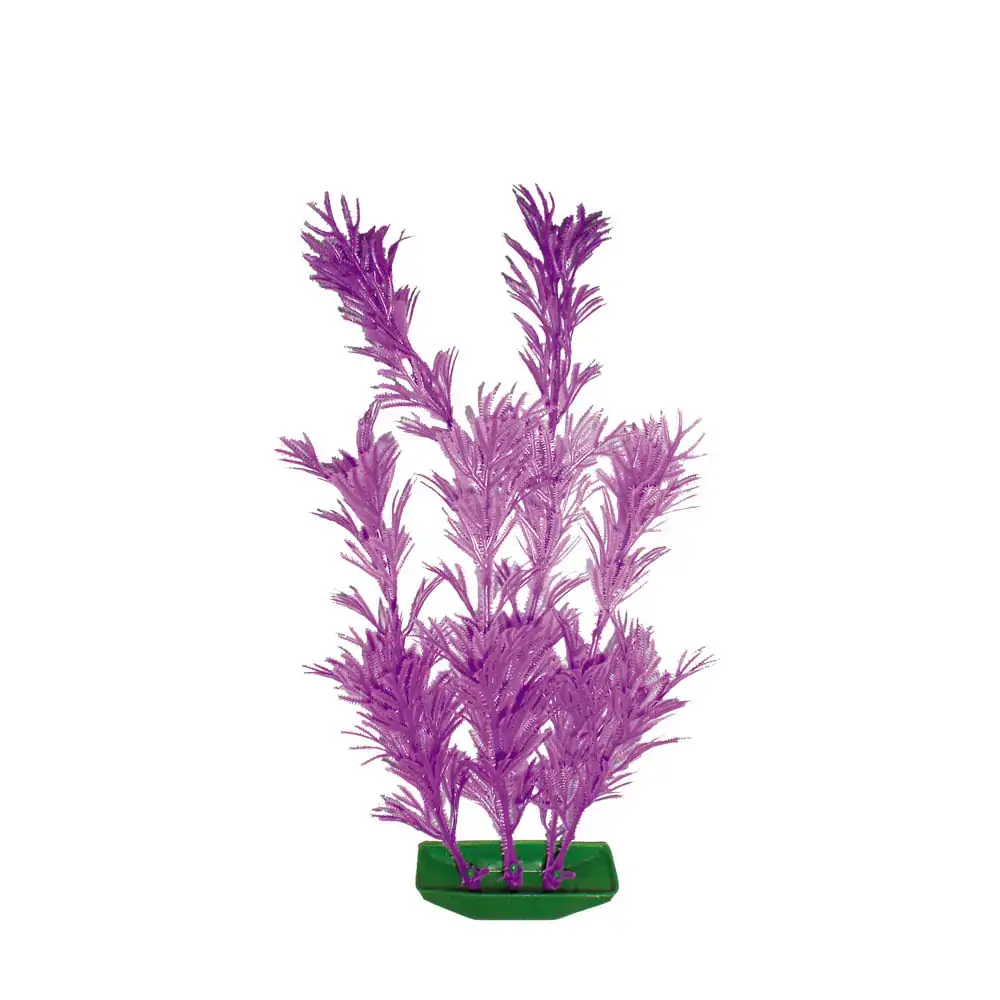 Planta Grande Tudo Pet
