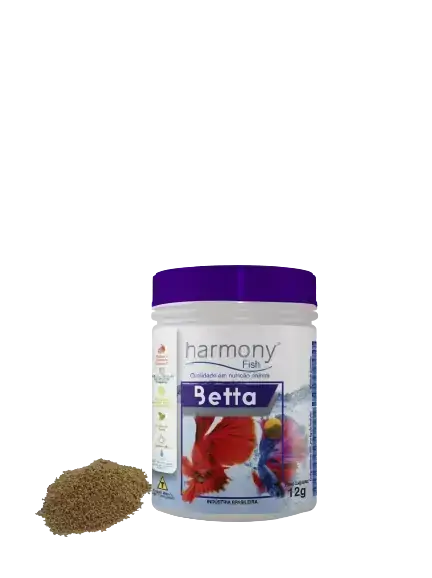 Harmony Fish Betta