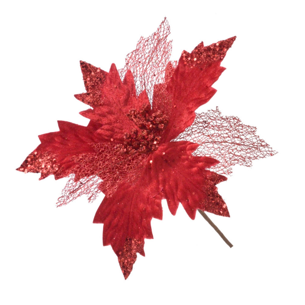 Flor Natalina 613 001 Mabruk
