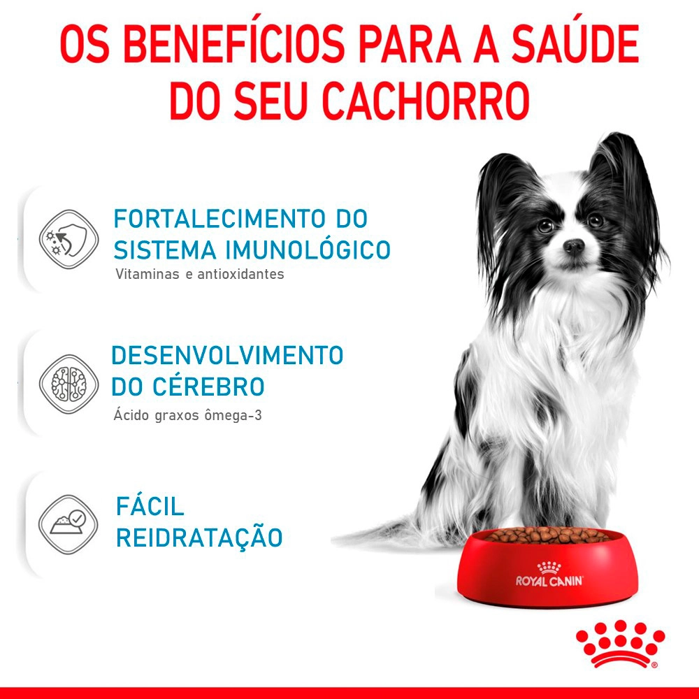Royal Canin Cães X Small Puppy 500g