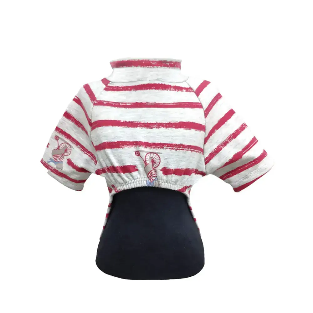 Blusa Moletom Para Cães Bicicleta Vermelha Tamanho 5 Fábrica Pet