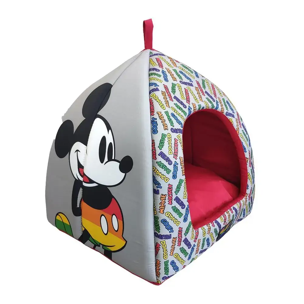 Cabana Rainbow Disney