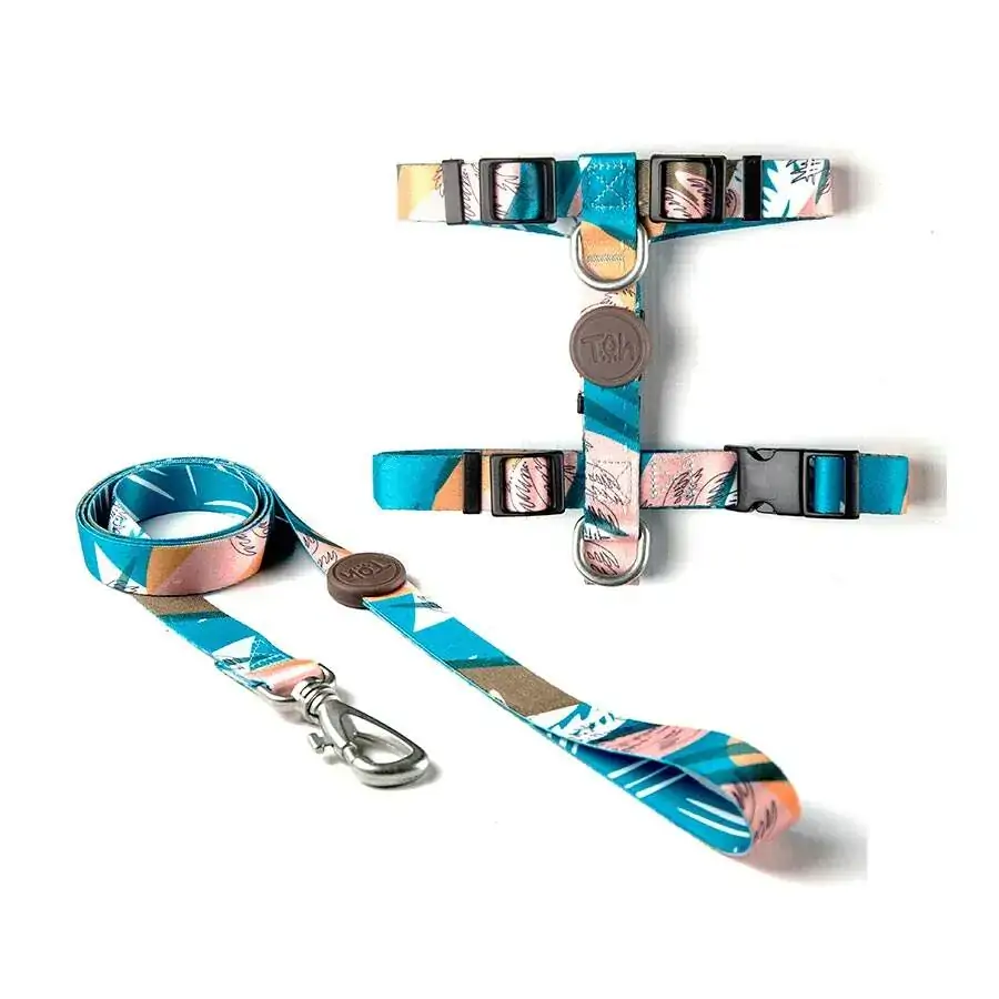 Conjunto Peitoral H E Guia Pp Venice