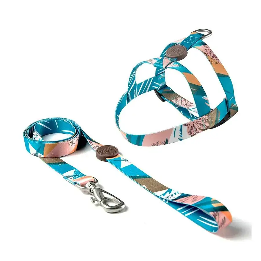 Conjunto Peitoral Tradicional E Guia Pp Venice