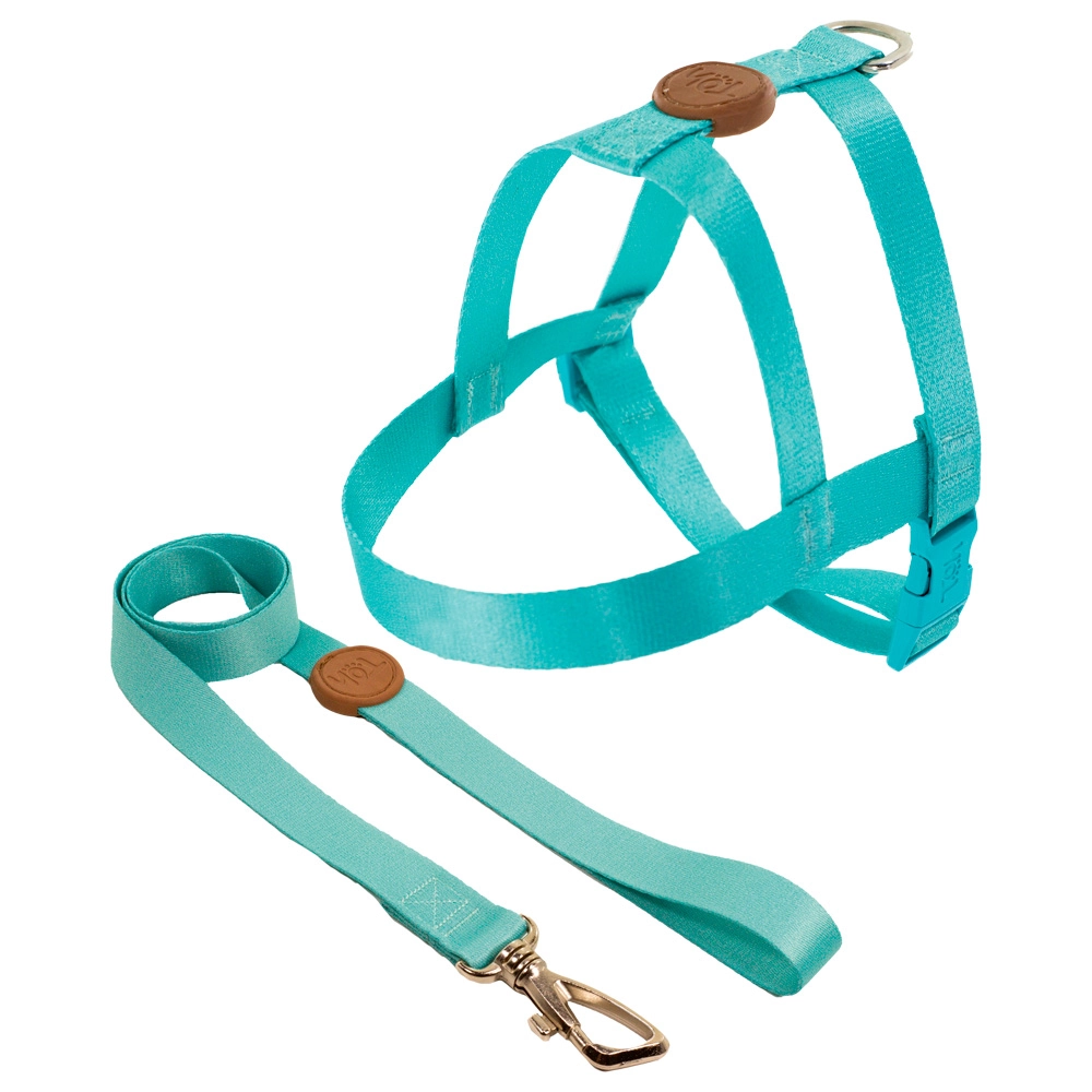 Conjunto Peitoral Com Guia M Maresia Un